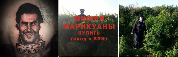 шишки Волоколамск