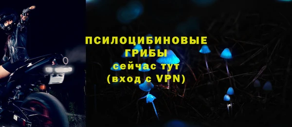шишки Волоколамск
