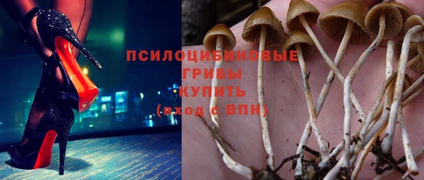 марихуана Заводоуковск