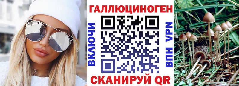 это какой сайт  Верхотурье  Псилоцибиновые грибы Magic Shrooms 